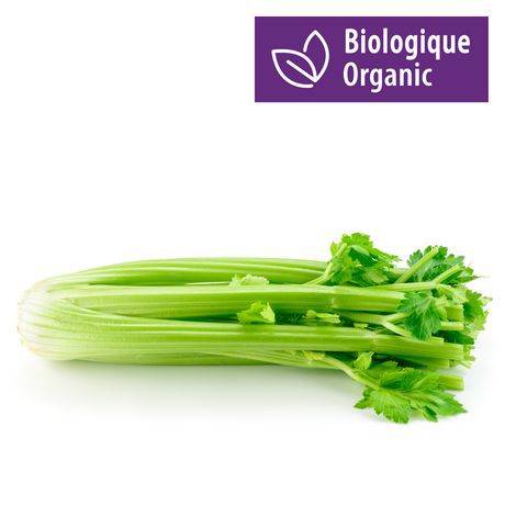 Organic Celery (1 bunch)