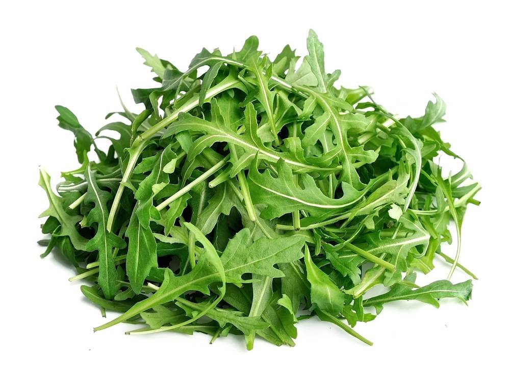 Arugula