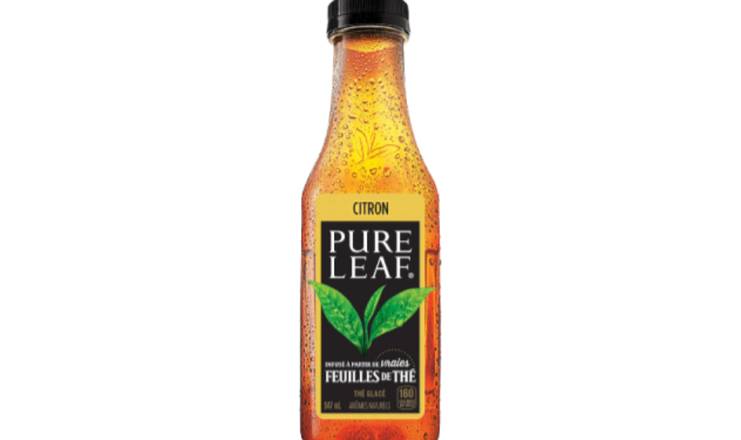 Thé glacé Pure Leaf® / Pure Leaf® Iced Tea