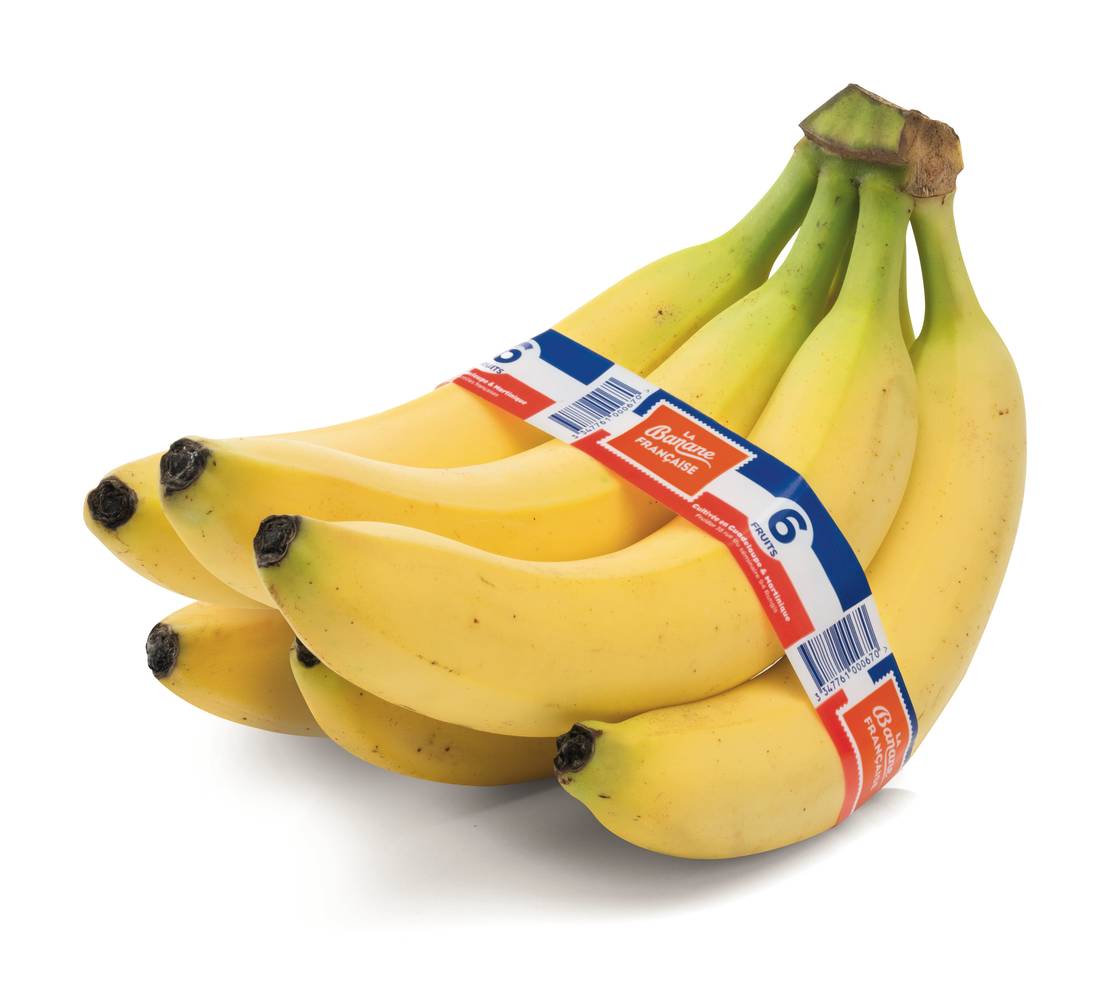 La Banane Française - Banane cavendish catégorie 1 (6)