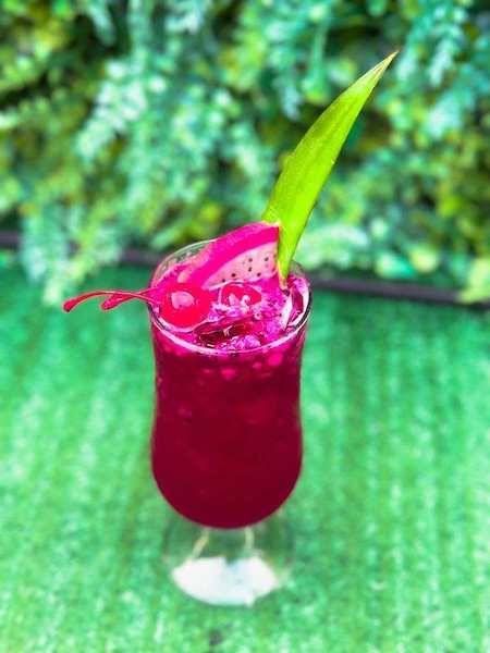 Mel's Dragonfruit Kooler