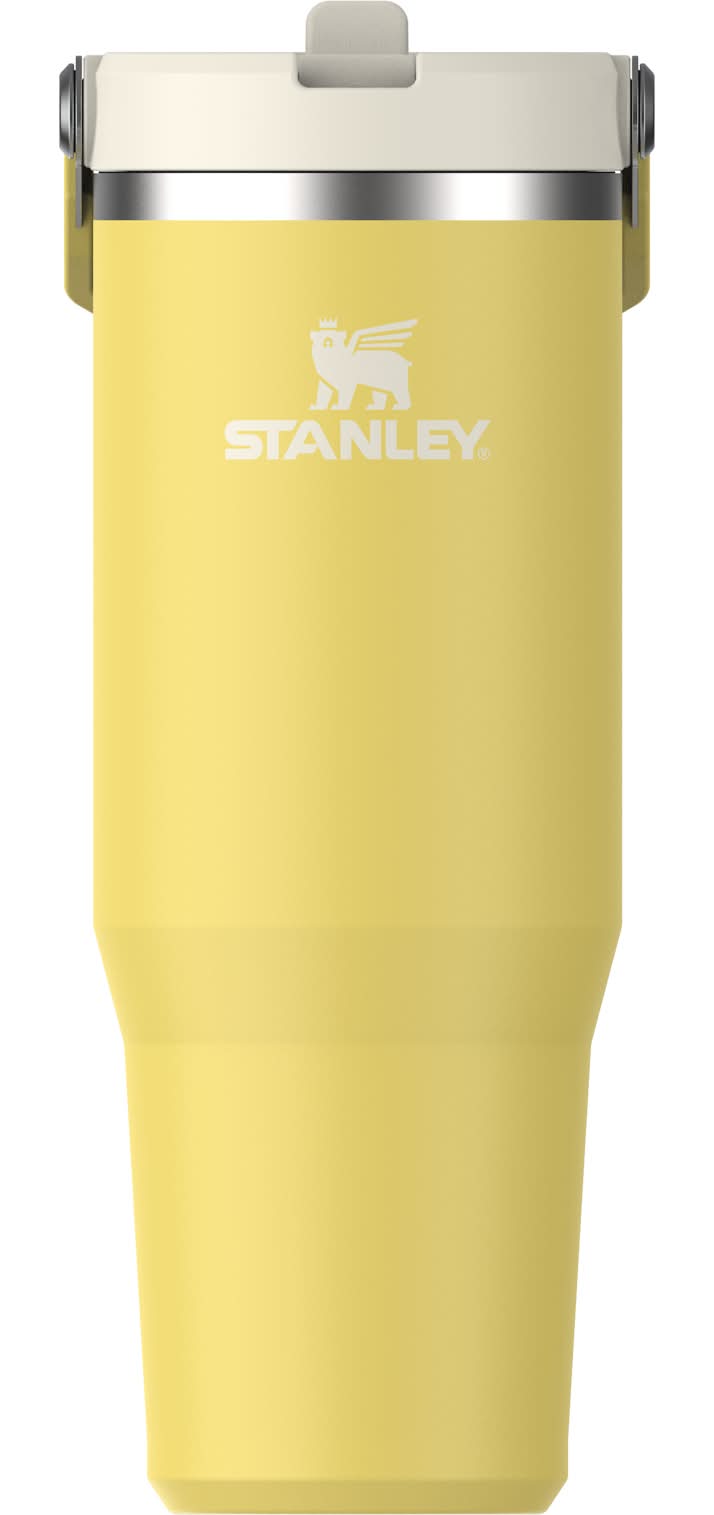 Stanley 30 -fl oz Stainless steel Insulated Water bottle - Daffodil