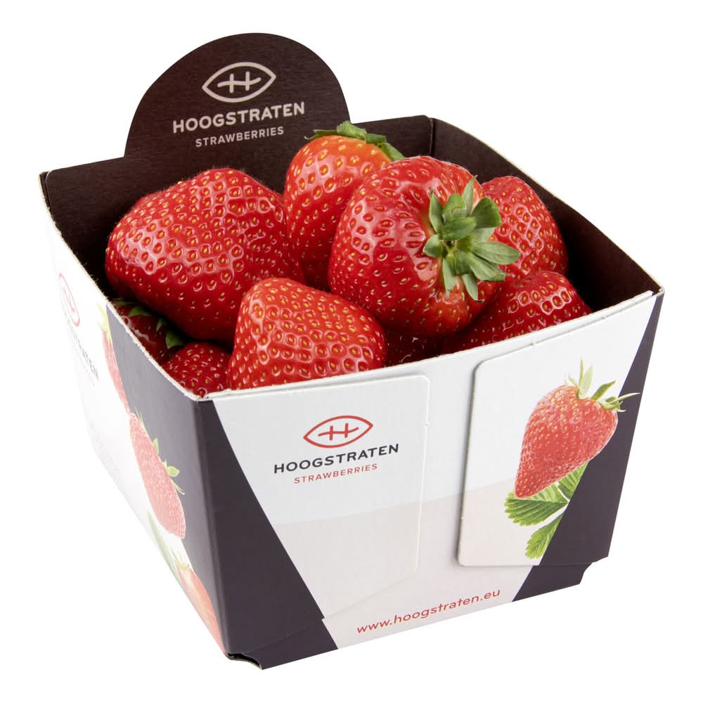 Carrefour Fraises Belges 500g