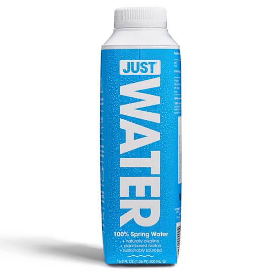 JUST Water 100% Spring Water, 16.9 oz