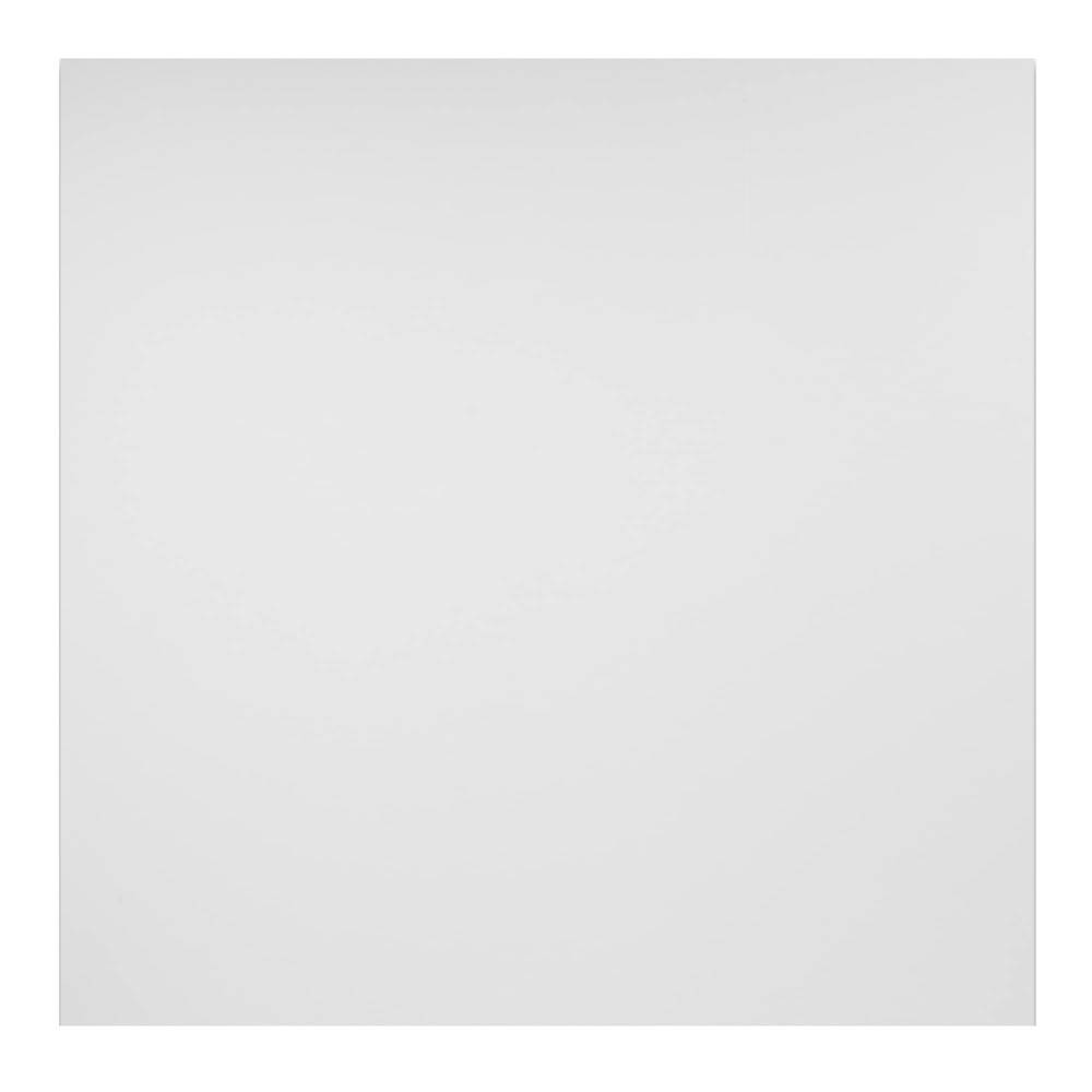 Genesis 2-ft x 2-ft Smooth Pro White PVC Drop Ceiling Tile (1-Pack, 4-sq ft / Case) | 740-00