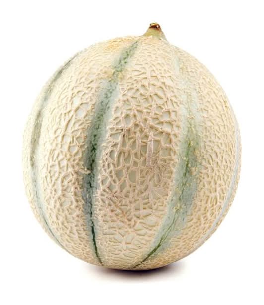 Cantaloupe