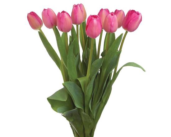 Greenhouse · Fresh Tulips (10 ct)