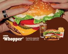 Burger King (Plan de Ayala)