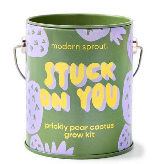 Modern Sprout Grow Kit Stuck On You