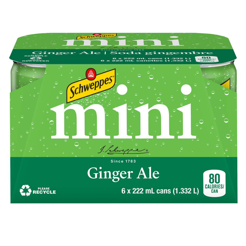 Schweppes Ginger Ale (6 pack, 222 ml)