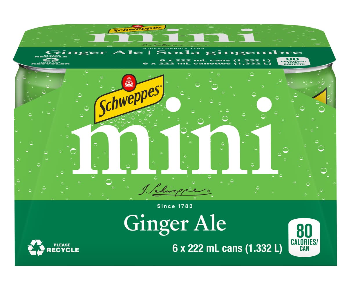 Schweppes Mini Ginger Ale Soda (6 x 222 ml)