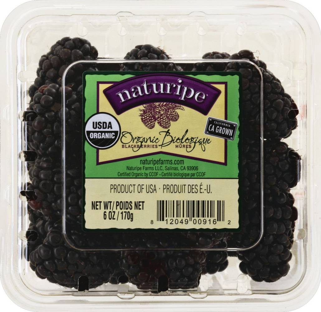 Organic Blackberries 6 Oz