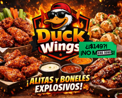 DUCK WINGS