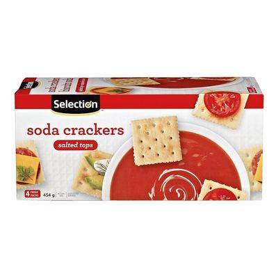 Selection biscuits soda saupoudrés de sel (4x113,5 g) - salted tops soda crackers (4x113.5 g)