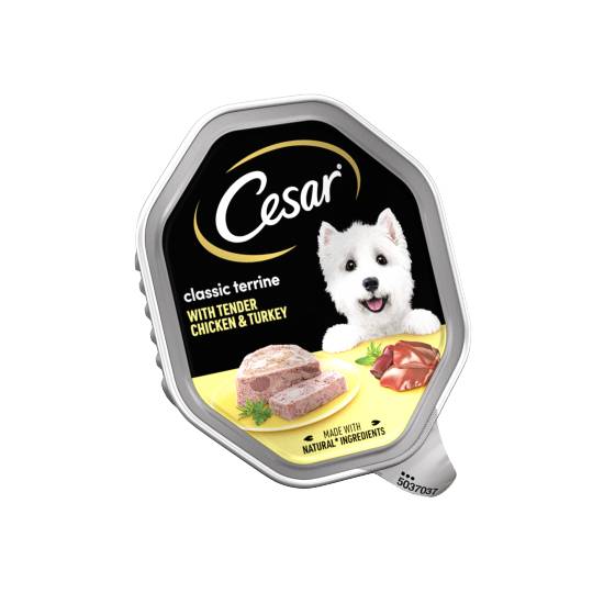 Cesar Classic Terrine Dog Food Tray Chicken & Turkey in Loaf