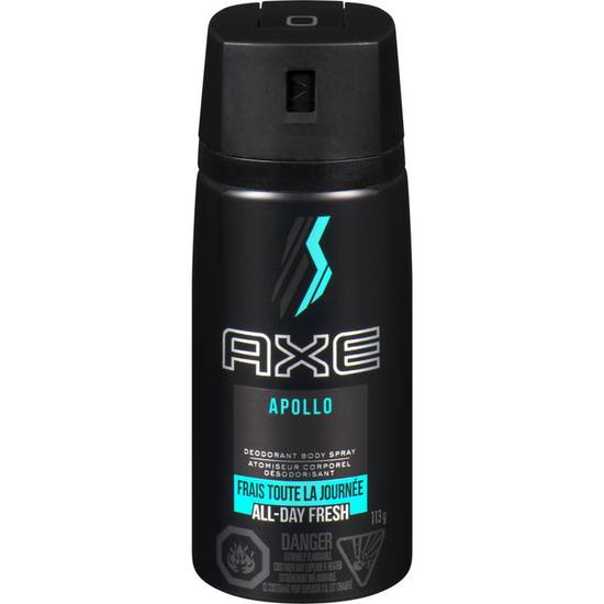 Axe Daily Fragrance Body Spray Anarchy For Him (113 g)