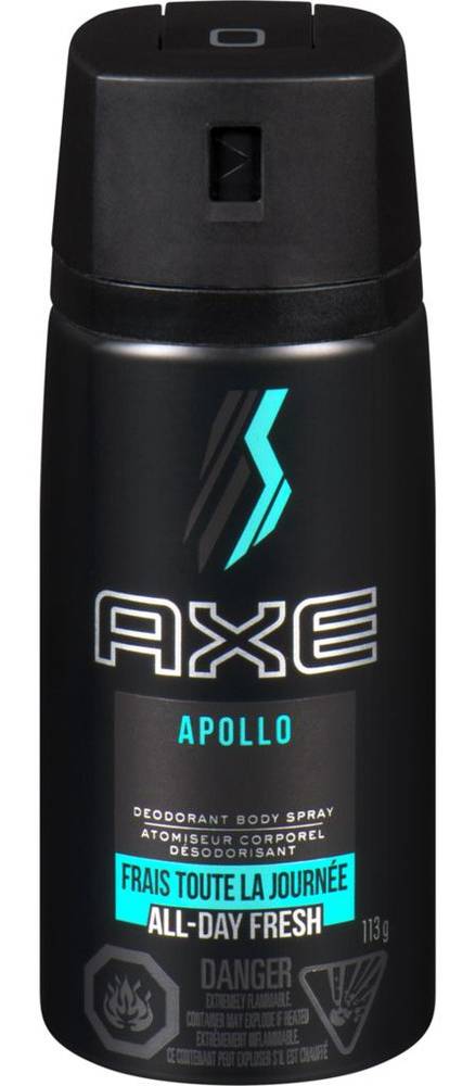 Axe Daily Fragrance Body Spray Anarchy For Him (113 g)