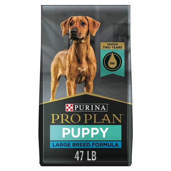 Purina Pro Plan Large Breed Dry Puppy Food (chicken-rice formula)