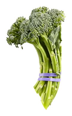 Broccolini 1.0 EA