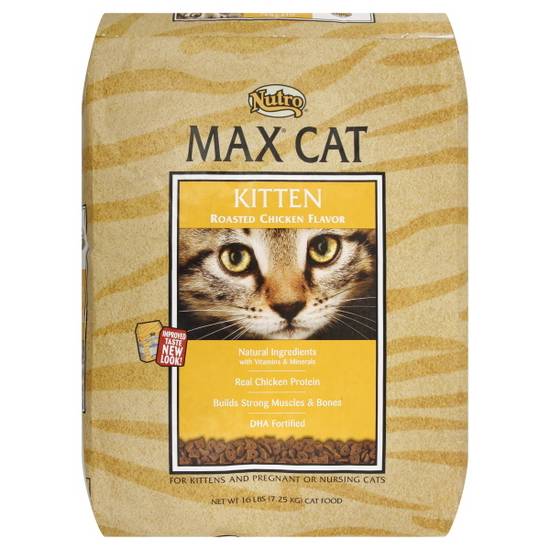 Nutro max clearance cat