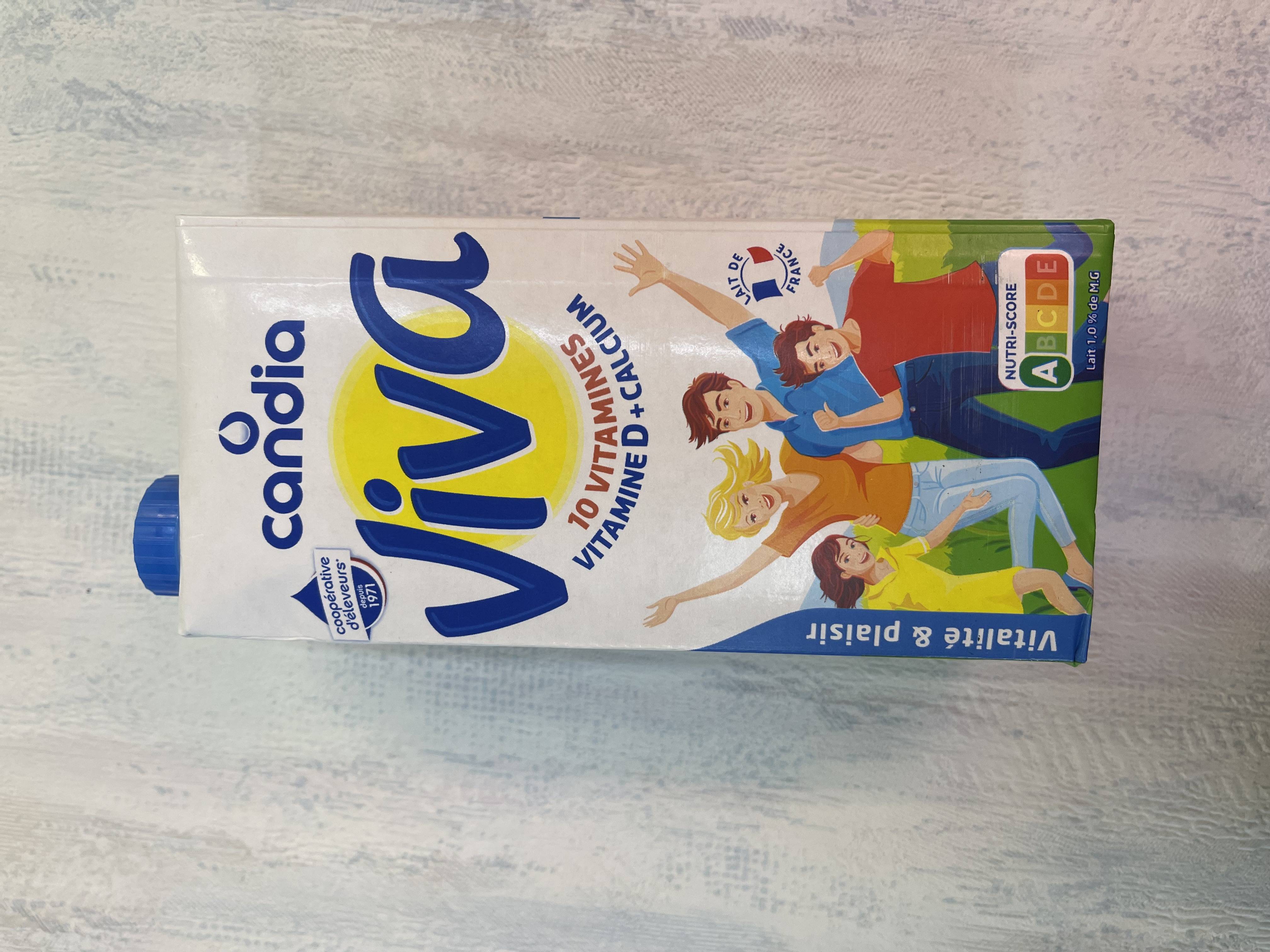 brique de lait viva 1L