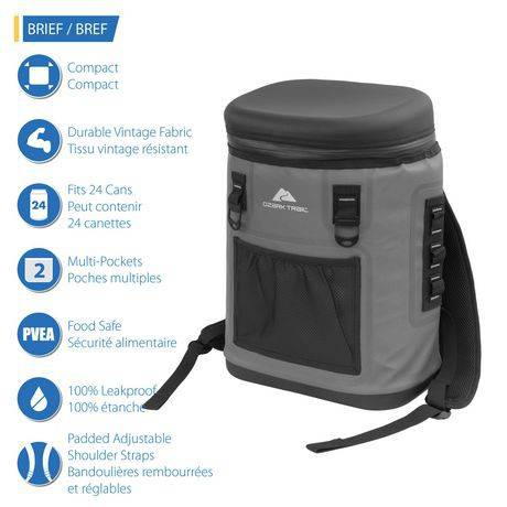 Ozark trail daypack cooler hotsell