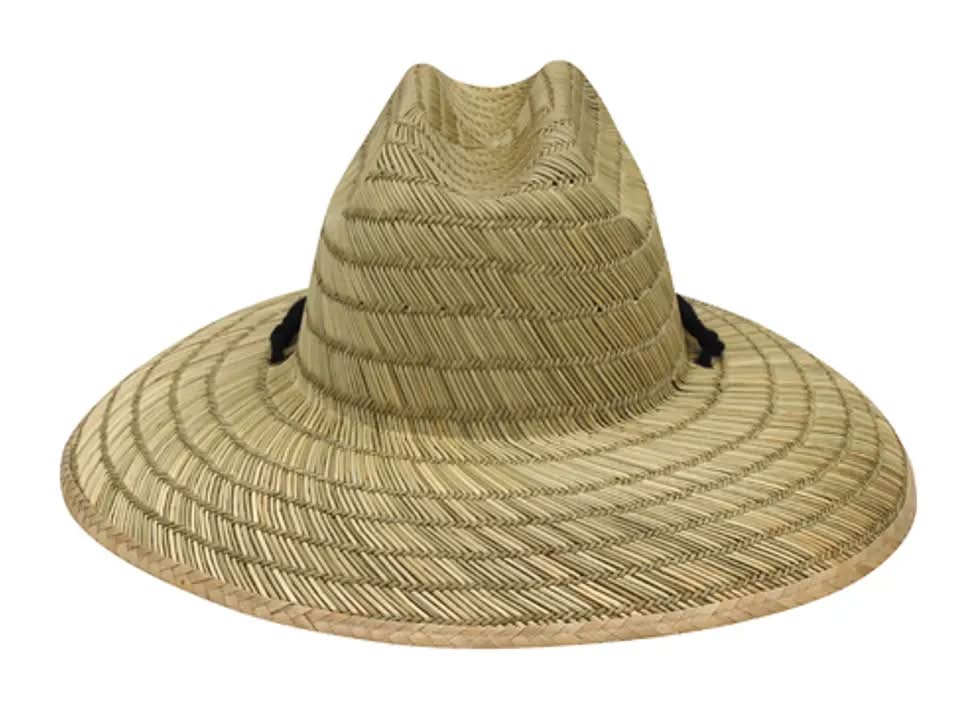 Pugs Gear Shade