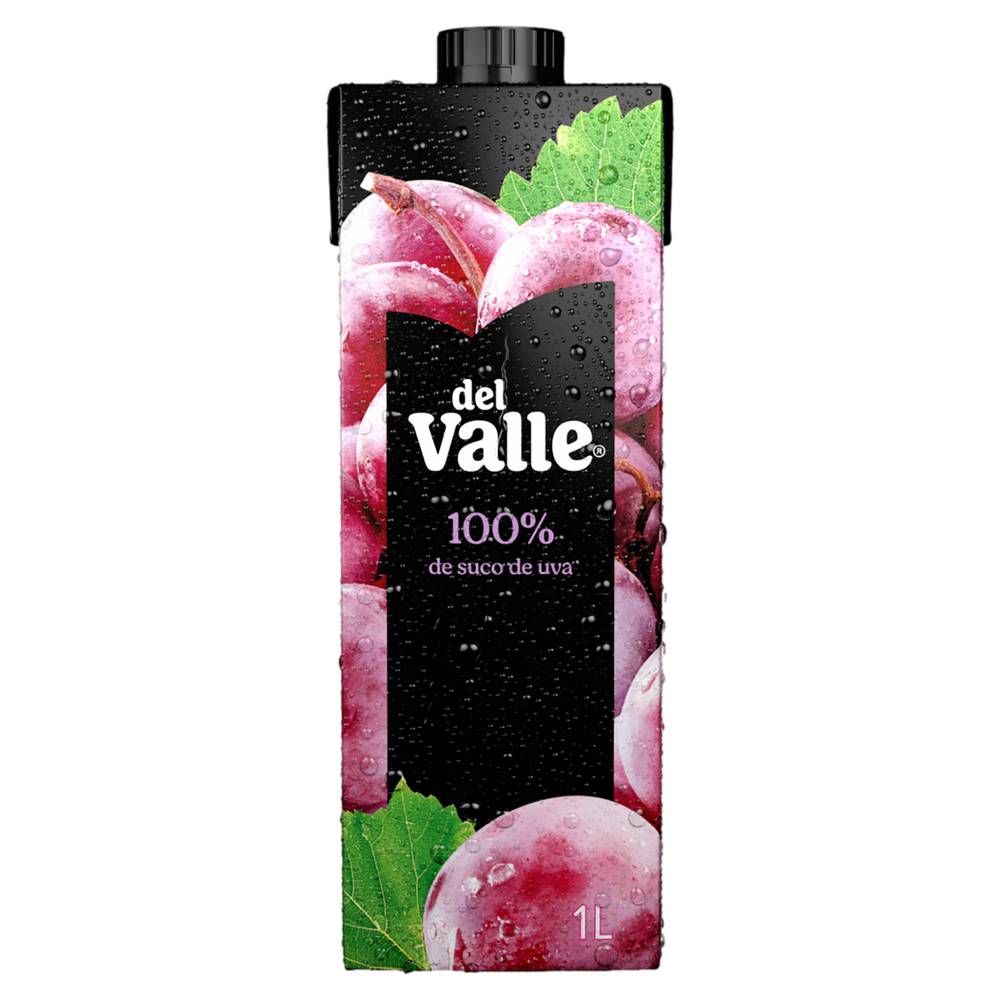 Del Valle · Suco 100% sabor uva (1 kg)