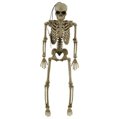 Posable Skeleton 12 Piece - Each