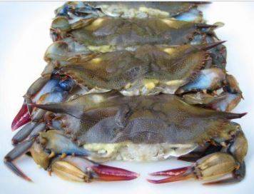 Frozen Jumbo Soft Shell Crabs - 12 ct (6 Units per Case)