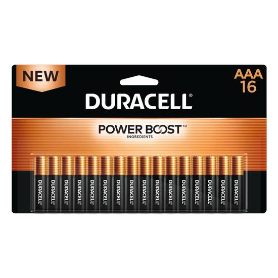 Duracell Coppertop AAA Alkaline Batteries, 16 ct