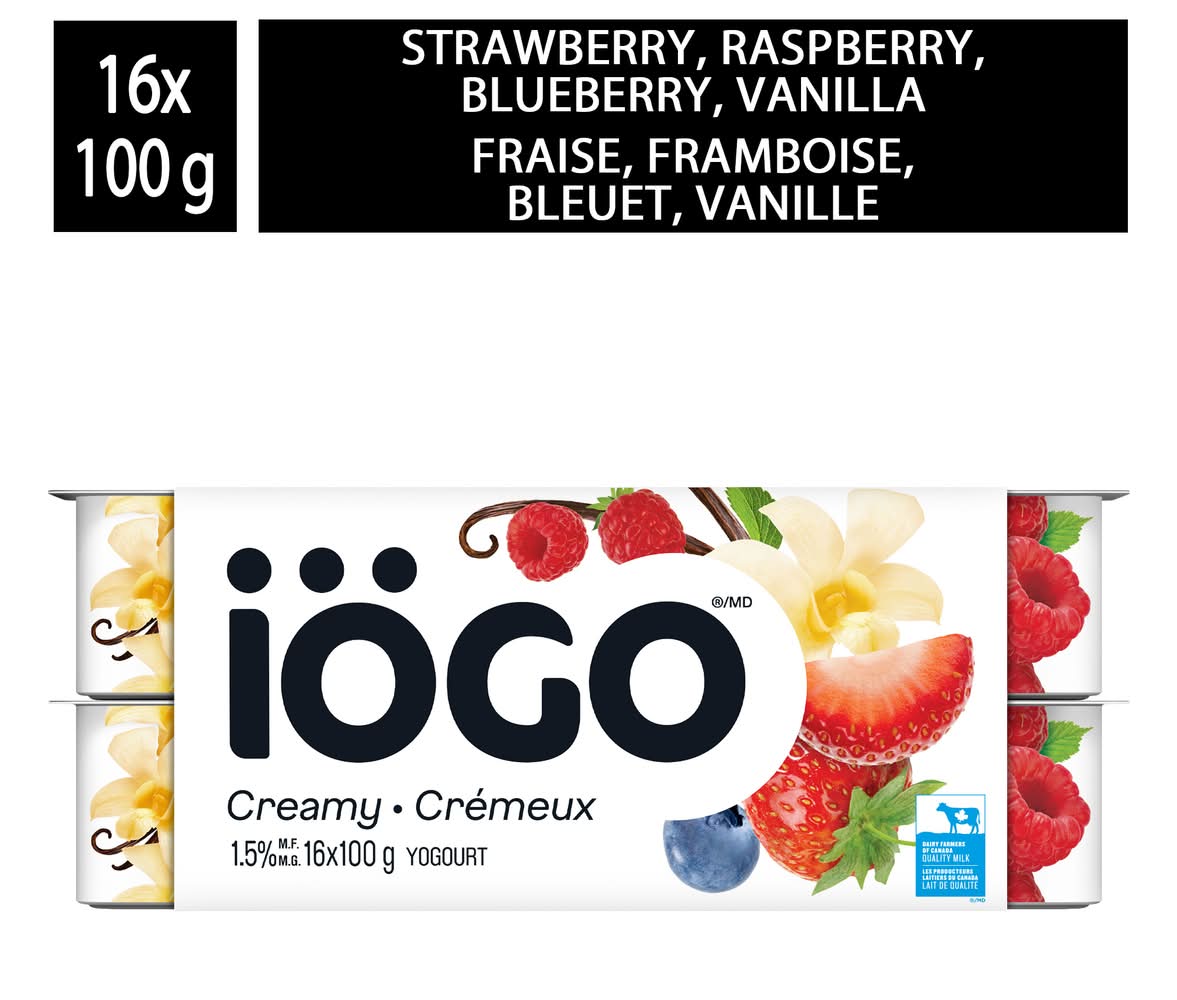 iÖGO Creamy Yogurt, Assorted (16 x 100 g)