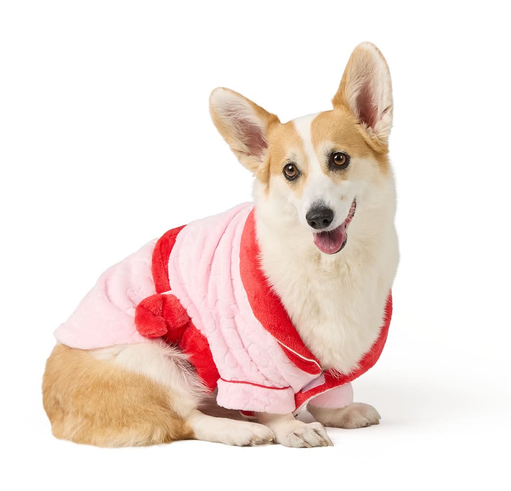 Top Paw® Vday Dog Robe (Color: Pink, Size: Small)