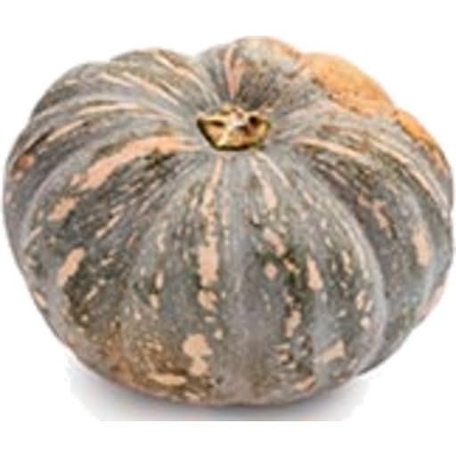 Pumpkin Jap  Approx. 1.13kg Each