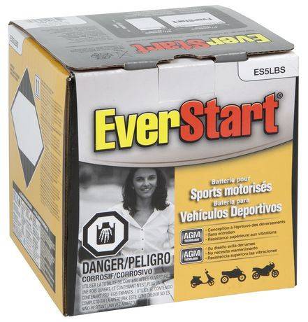 Everstart Power Sport 5-lbs (group size 5-lbs ,75 cca, 4 ahr capacity)