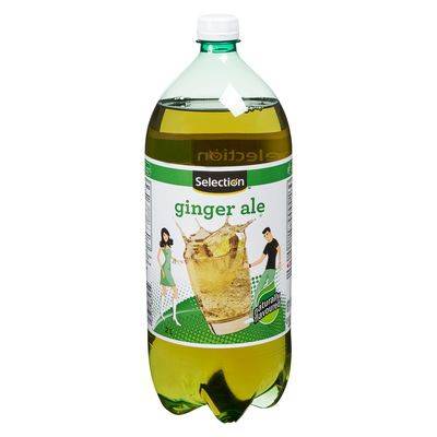 Selection Ginger Ale (2L)