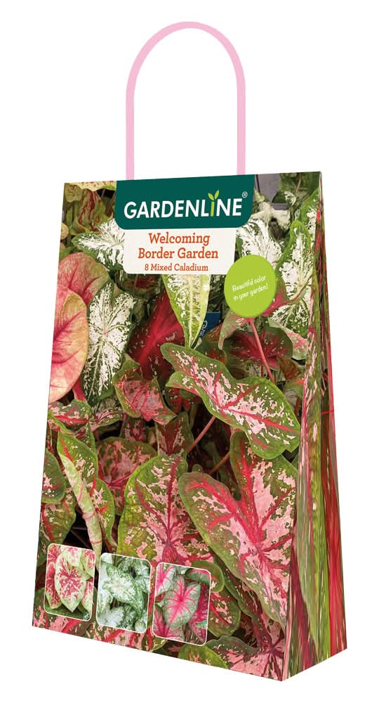 Gardenline Sun or Shade Assort