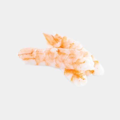 Crevettes / Shrimps