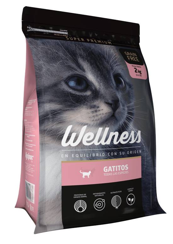 Wellness Gato Kitten 2kg