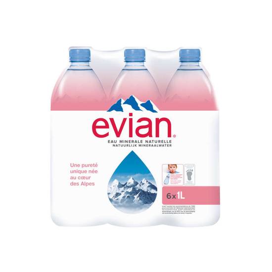 Evian eau minérale naturelle plate 1 L