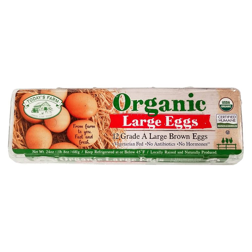 Today's Farm Organic Grade a Large Brown Eggs (24 oz, 12 ct)