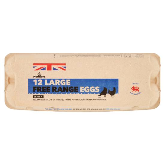 Morrisons Free Range Eggs ( 12 ct) ( large )