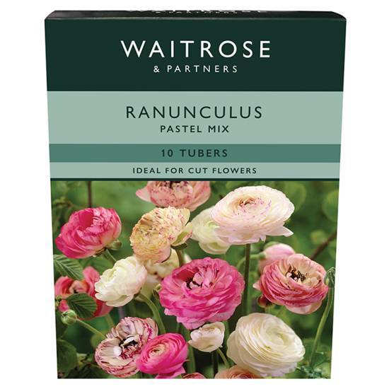 Waitrose & Partners Ranunculus Pastel Mix Tubers