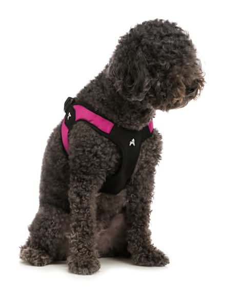 Gooby Pet Escape Free Easy Fit Harness, Hot Pink, X-Small