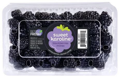 Sweet Karoline Blackberries