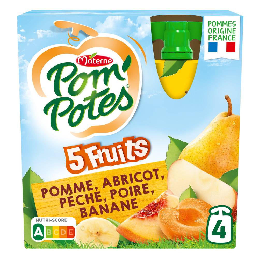 Materne - Pom'potes compote de 5 fruits sans sucres ajoutés (90g)