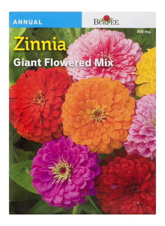 Burpee Zinnia Giant Flowered Mix (1 ct)