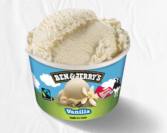 Ben & Jerry's Vanilla Ice Cream 100ml