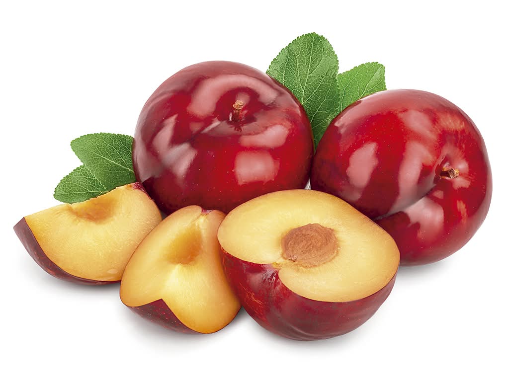 Ameixa Vermelha