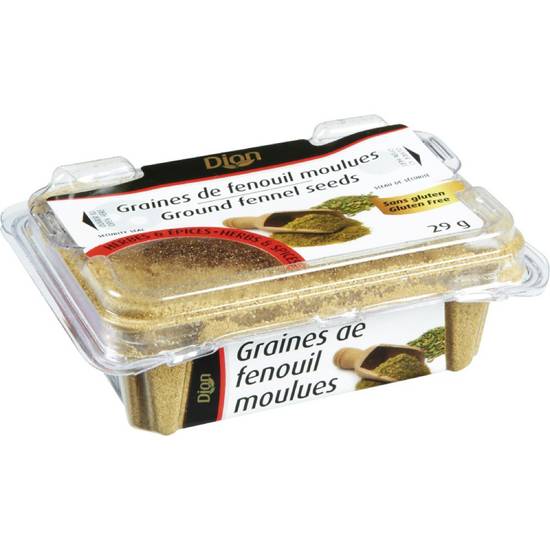 G Dion Foods Ground Fennel Seeds (29 g)